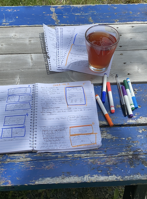 3 raccoons in canada the book draft june 2023