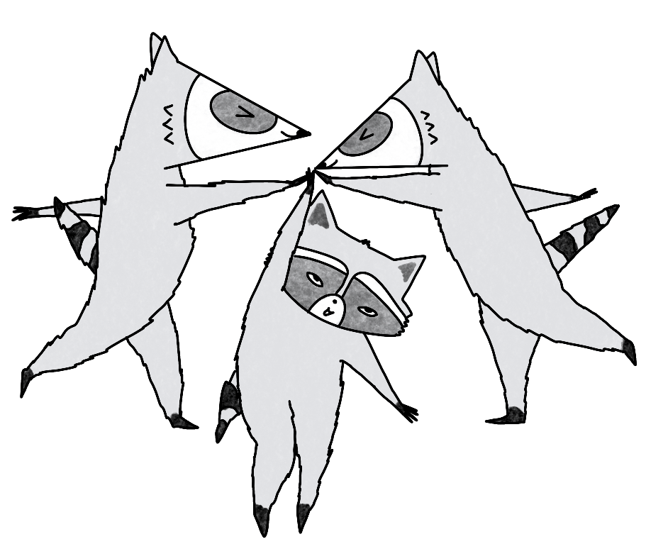 3 raccoons in canada, the book
