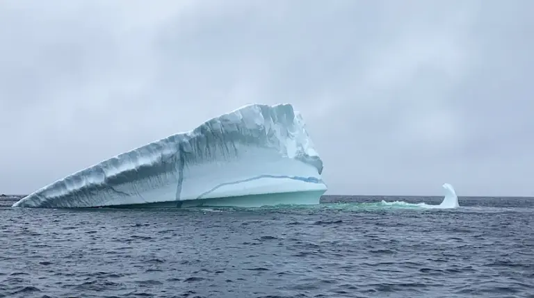iceberg hunting in newfoundland chasing wonder travel blog little me in big canada