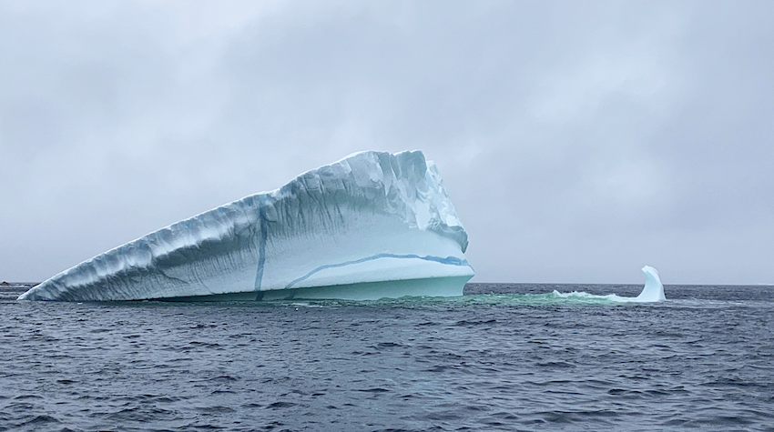 iceberg hunting in newfoundland chasing wonder travel blog little me in big canada