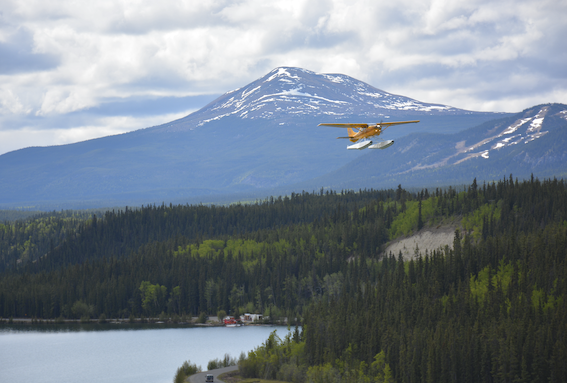 Chasing Wonders Whitehorse, The Place Where Canada Began For Me