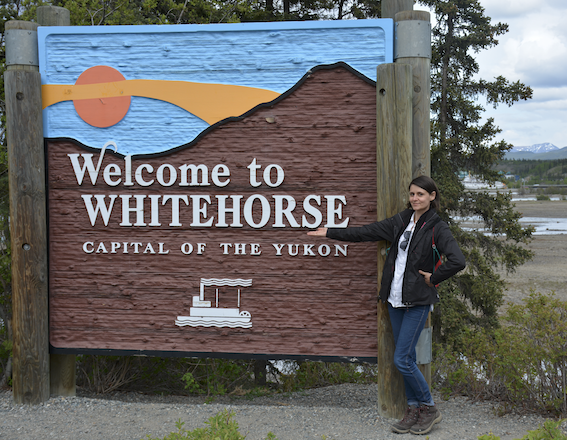 Chasing Wonders Whitehorse, The Place Where Canada Began For Me