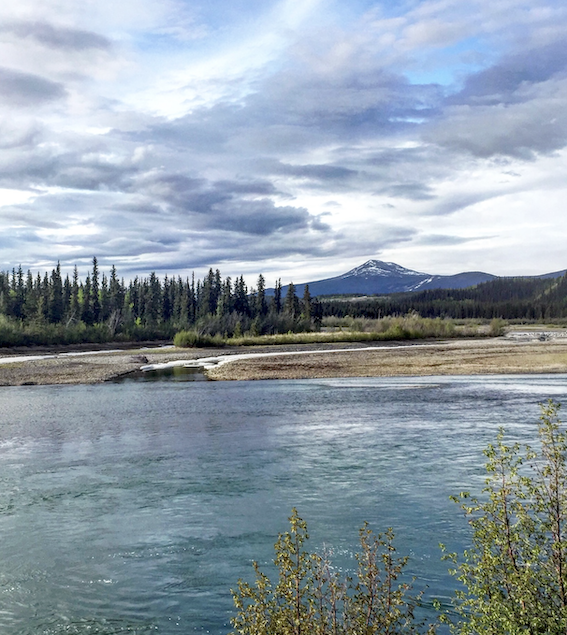 Chasing Wonders Whitehorse, The Place Where Canada Began For Me