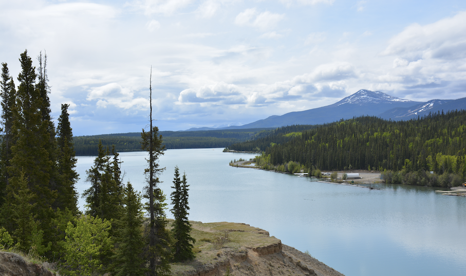 chasing wonders travel blog canada Whitehorse, The Place Where Canada Began For Me
