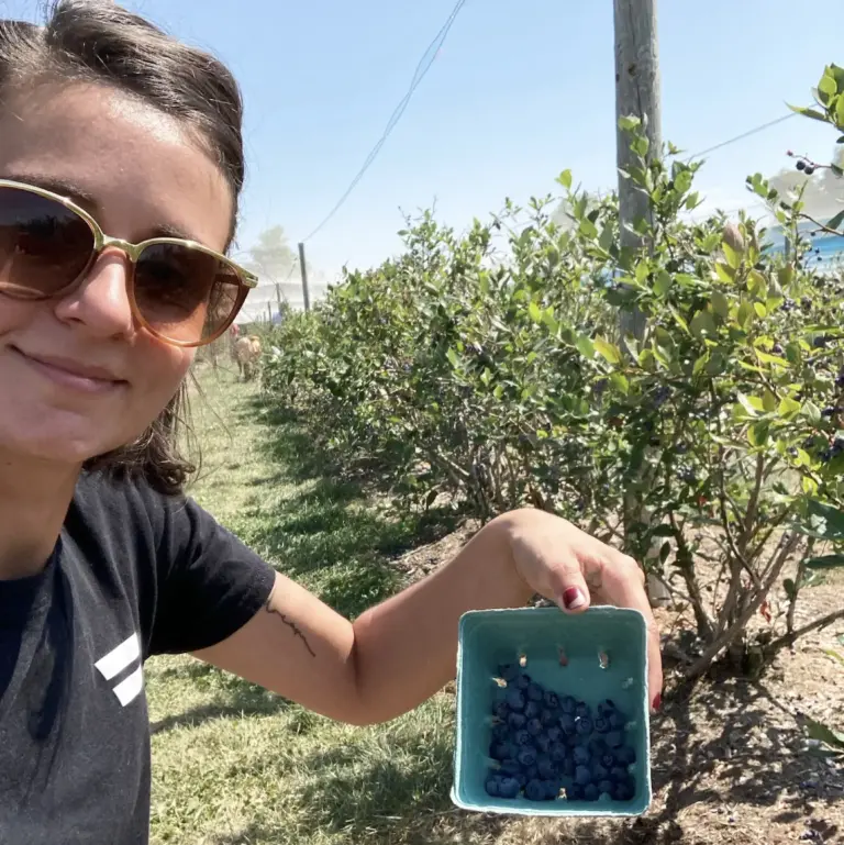 blueberry-picking-prince-edward-county-road-trip-ontario-little-me-in-big-canada-chasing-wonder
