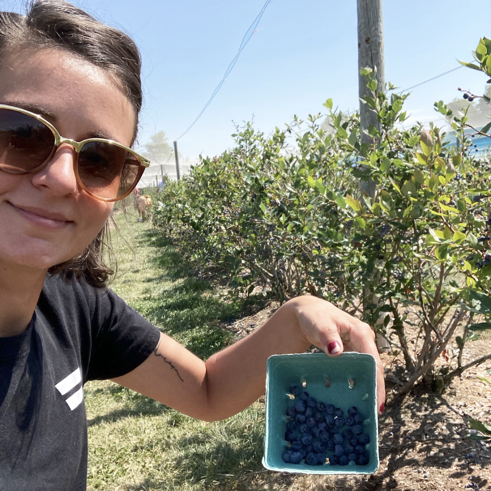 blueberry-picking-prince-edward-county-road-trip-ontario-little-me-in-big-canada-chasing-wonder