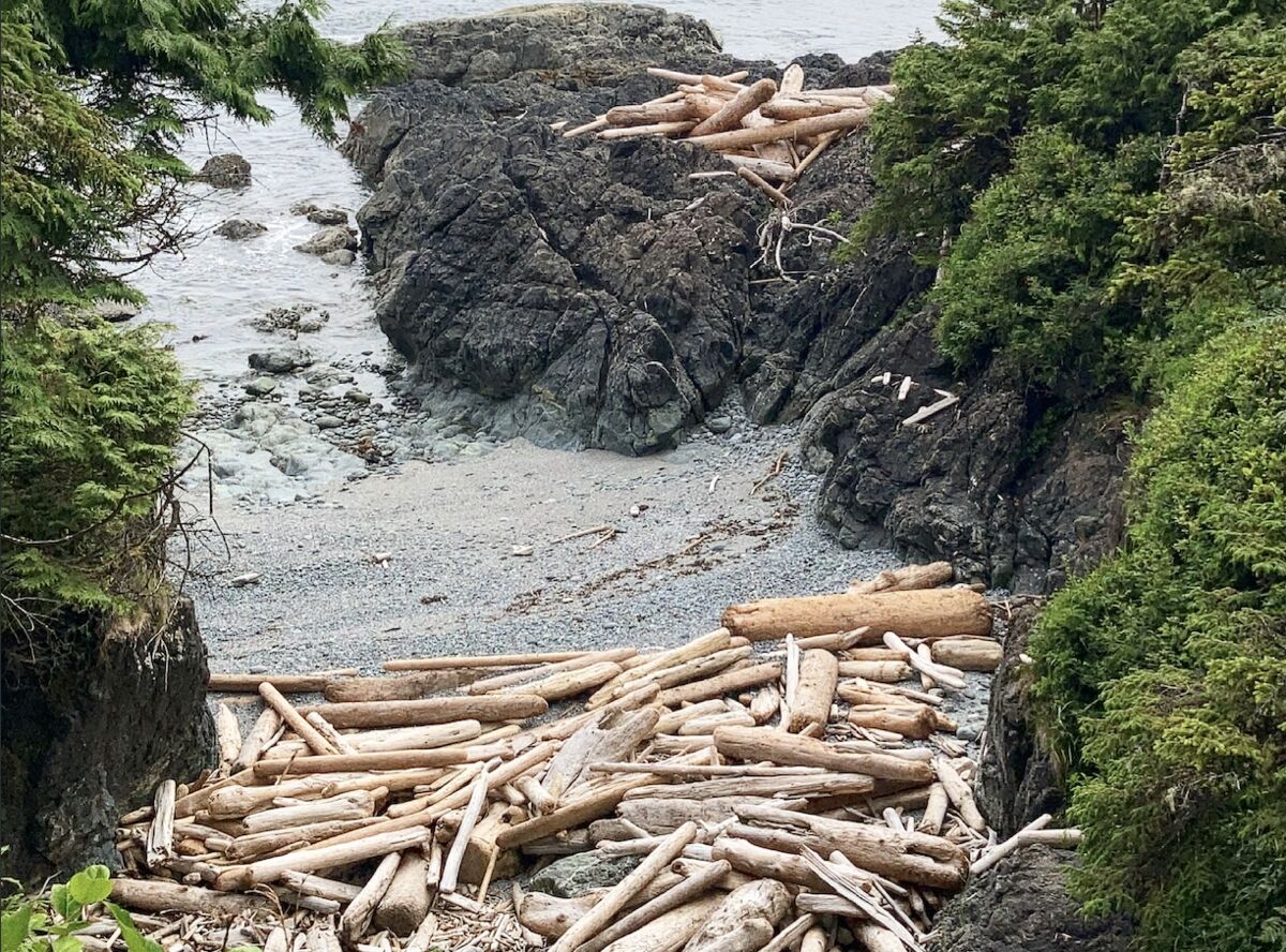 driftwood-logs-rocky-shore-ucluelet-logging-industry-vancouver-island