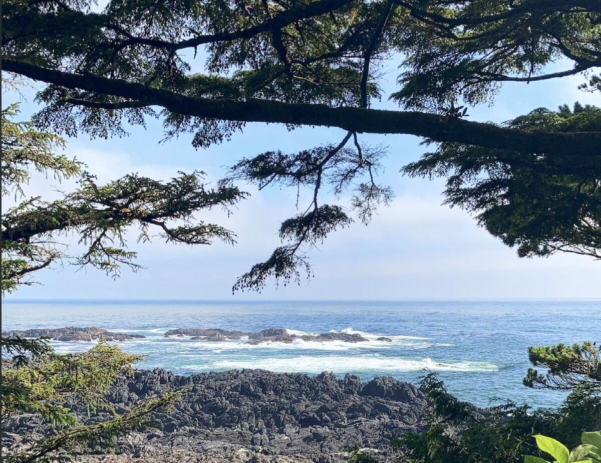 ocean-view-through-trees-wild-pacific-trail-ucluelet