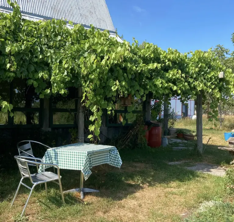 vine-terrace-gingham-table-prince-edward-county-road-trip-ontario-little-me-in-big-canada-chasing-wonder