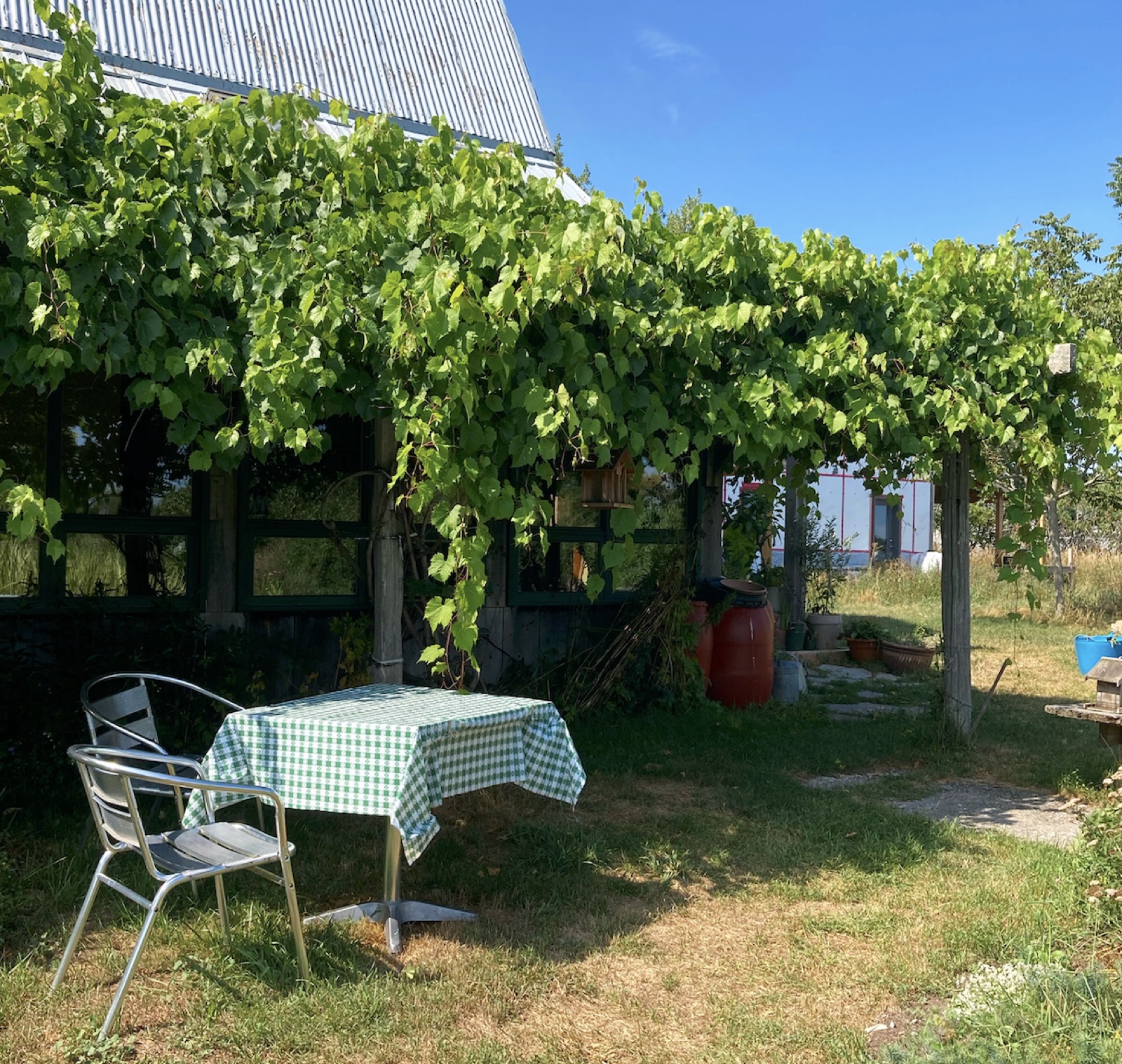 vine-terrace-gingham-table-prince-edward-county-road-trip-ontario-little-me-in-big-canada-chasing-wonder