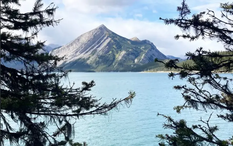 abraham-lake-through-trees