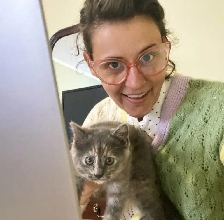 holding-kitten-airbnb-moncton-new-brunswick