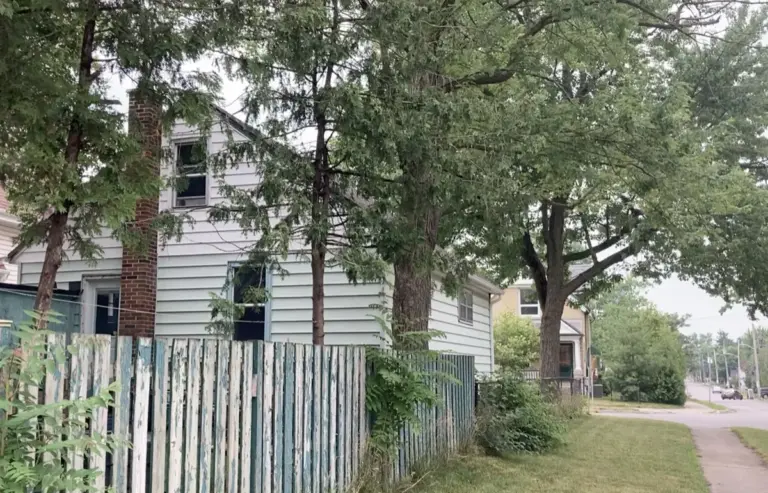 london-ontario-residential-street-trees