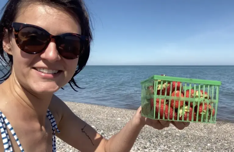strawberries-beach-lake-erie-rondeau